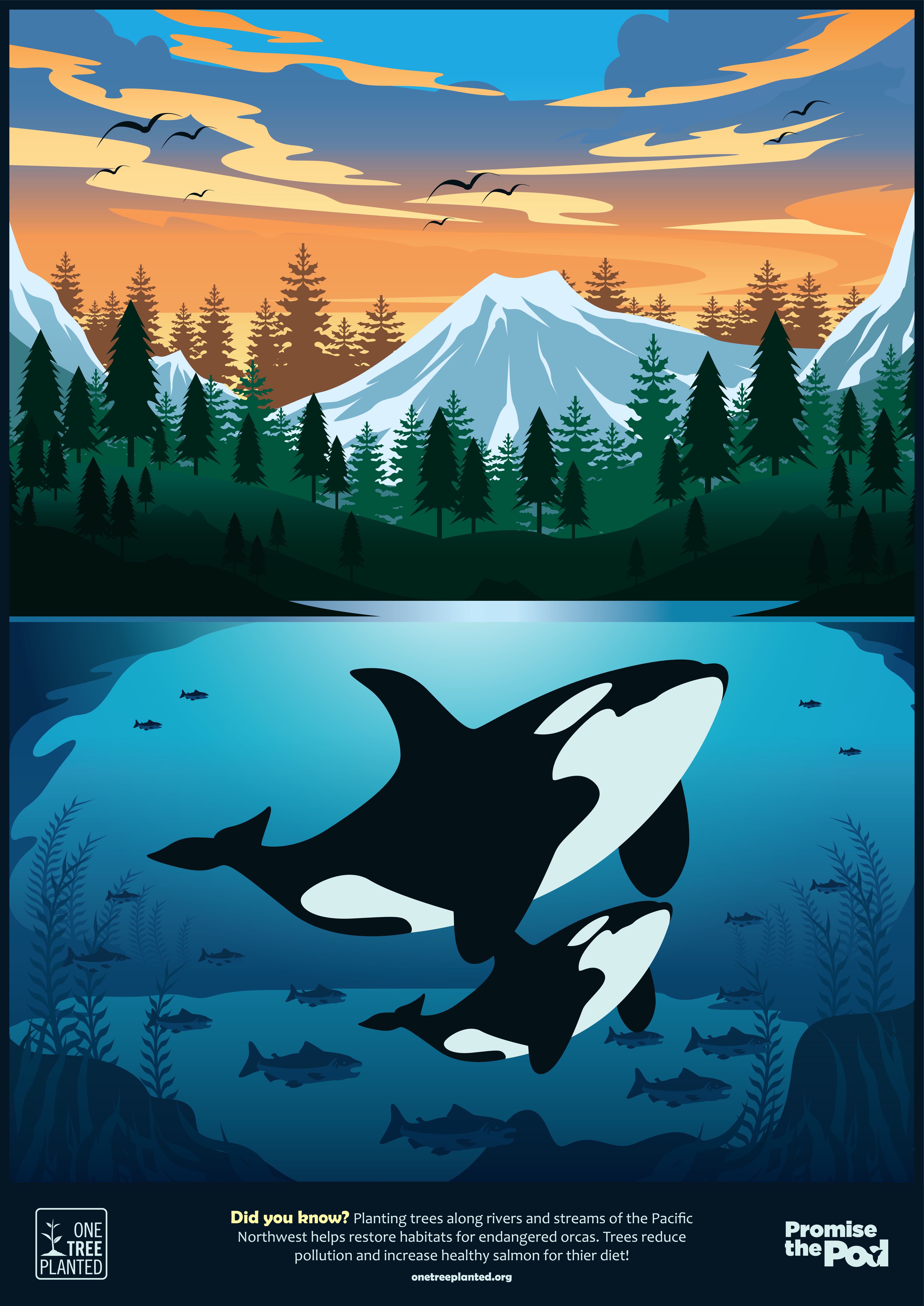 Orcas, Salmon, Trees Poster