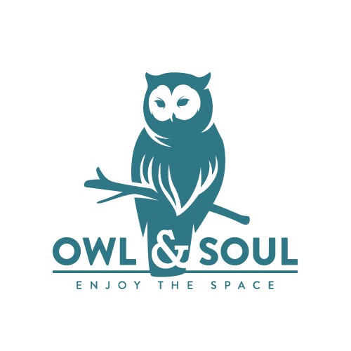 Owl&Soul