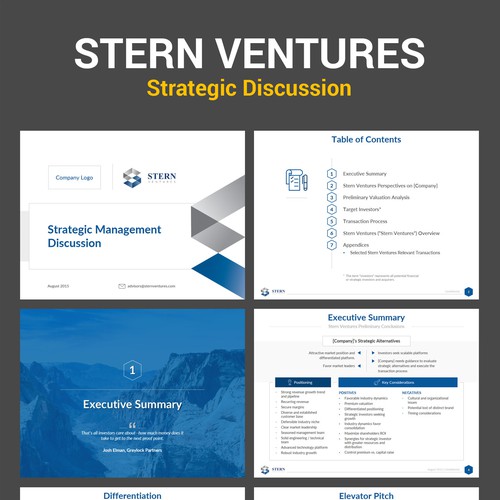 Stern Ventures Strategic Discussion Presentation