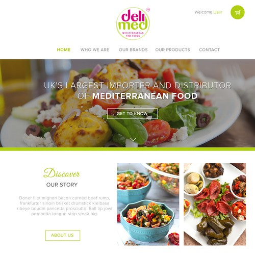 Modern and a Pixel perfect web design for Delimed