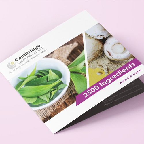 Brochure for ingredients supplier