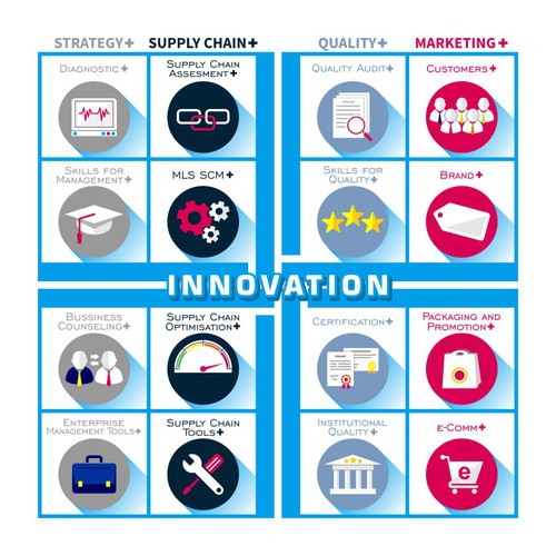 Graphical representation of the PLUS concept for developing markets