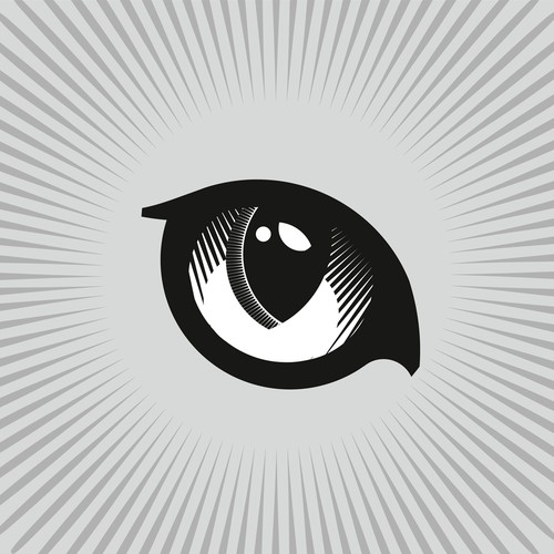 copper cat eye • logo