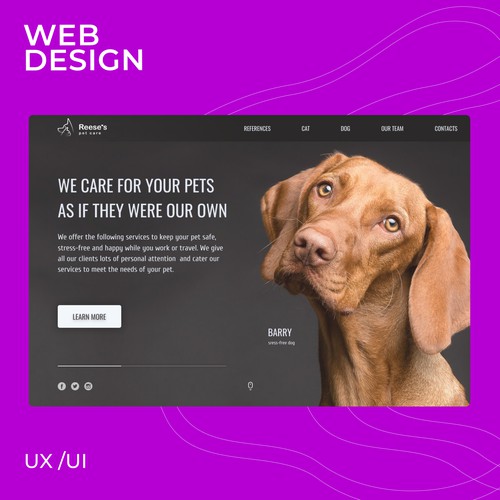 Web design page for pet service