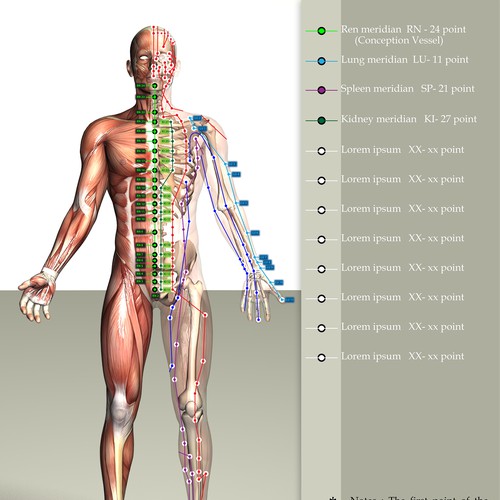 Human body & acupuncture meridians 