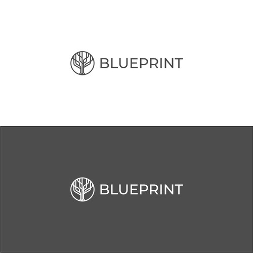 BLUEPRINT