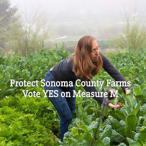 GMO Free Sonoma County