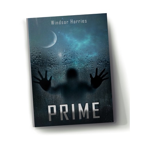cover for book