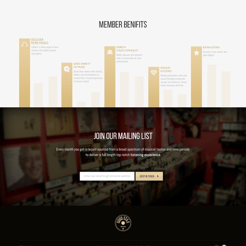 Home page design for vinyl startup