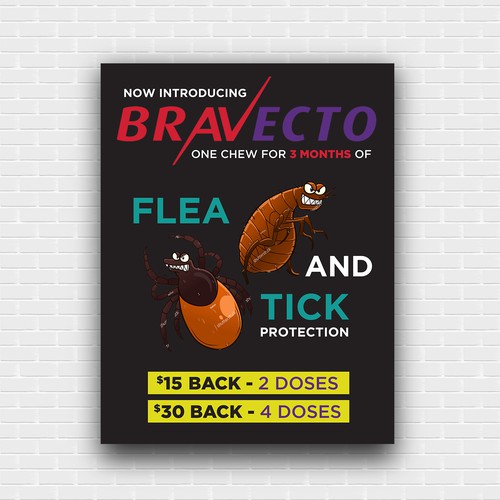 Flea and Tick flyer for Veterinary Hospital