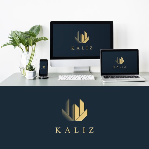 Logo Concept For KALIZ