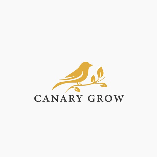 Canary Grow