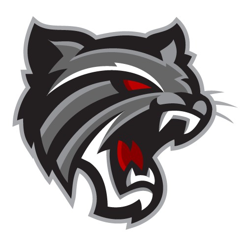 Design a new Wildcat logo for Deer Park Community City Schools