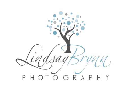Lindsay Brynn Photography Logo