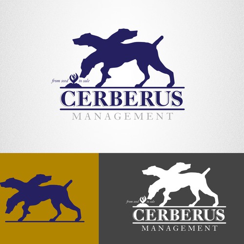 Create a corporate logo for Cerberus Management