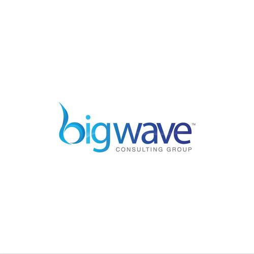BigWave Consulting Group