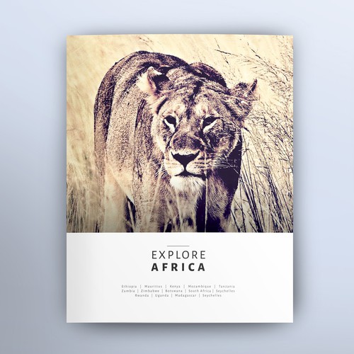 Vintage African Safari Brochure