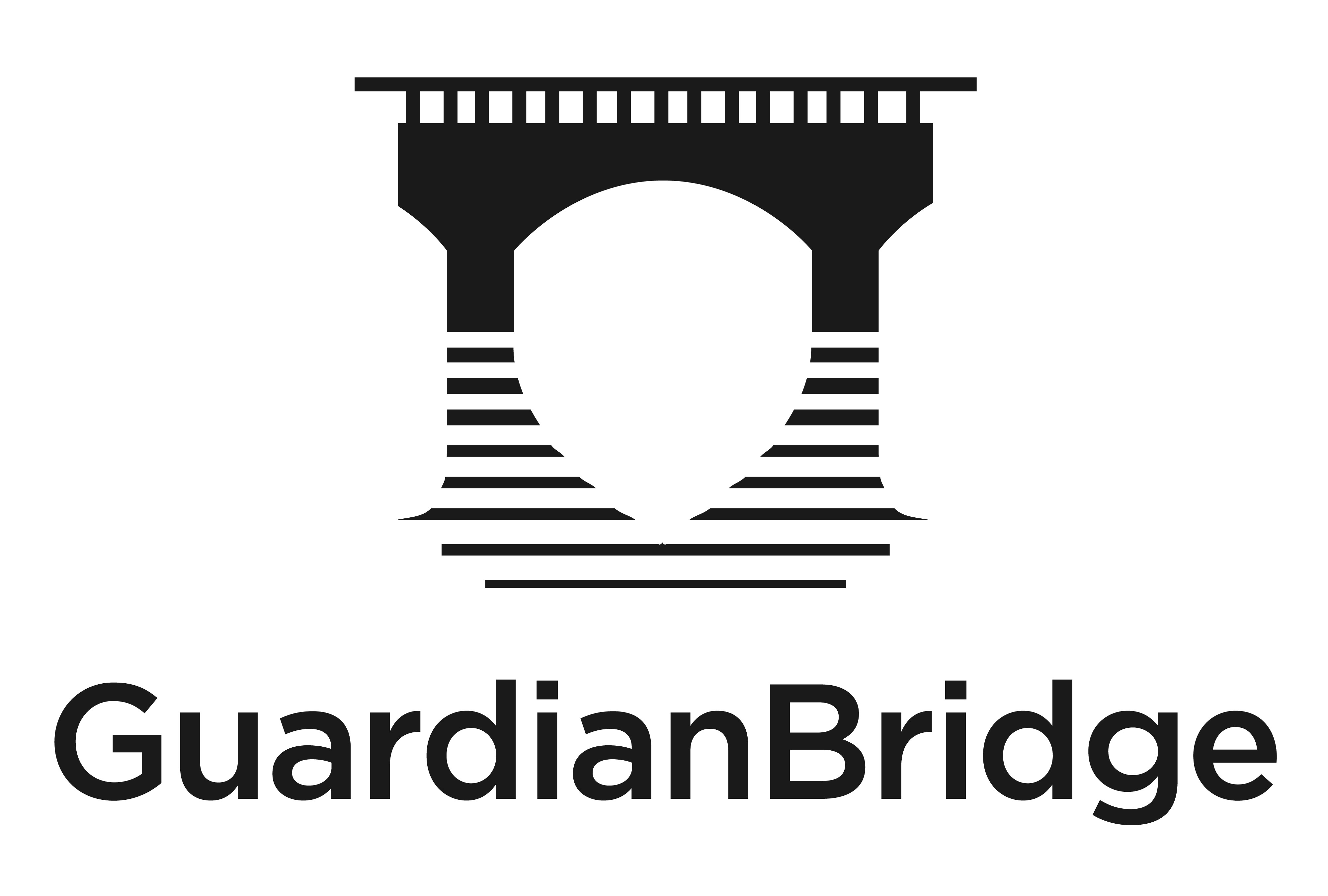 为Guardianbridge（风险管理服务和软件公司）创建引人入胜的徽标