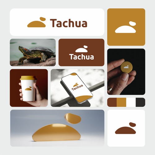 Tachua logo