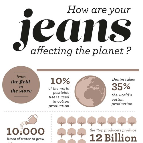 Infographic Design for Jeans