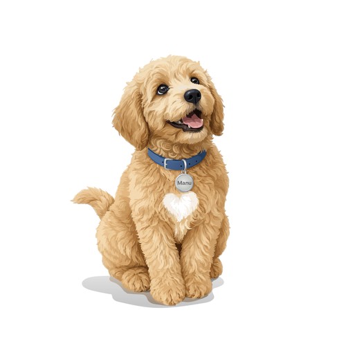 dog book cover