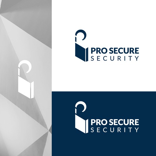 Pro Secure security