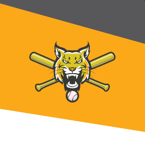 Bobcat design for baseball team