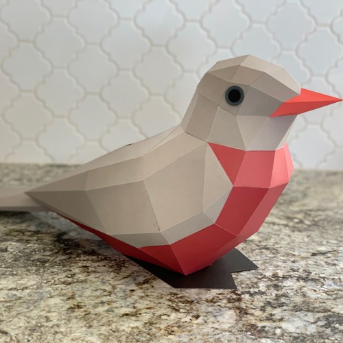 American Robin Paper Model