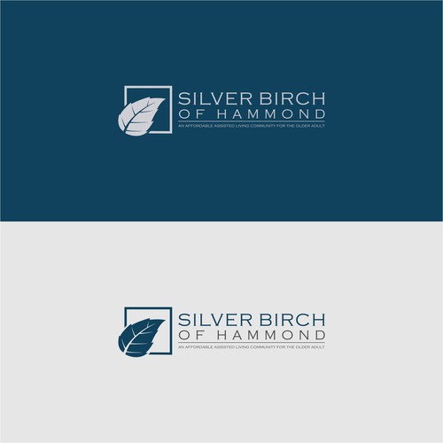 SILVER BIRCH