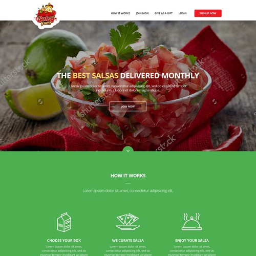 Landing page design for new subscription box company Salsa Yum!