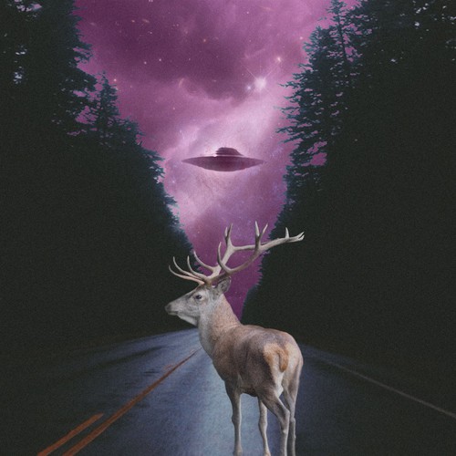 Deer Void