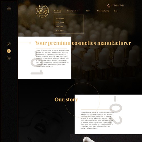 Black and gold company website