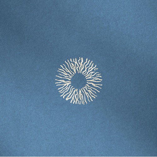 Artisan logodesign for an Iris Photographer
