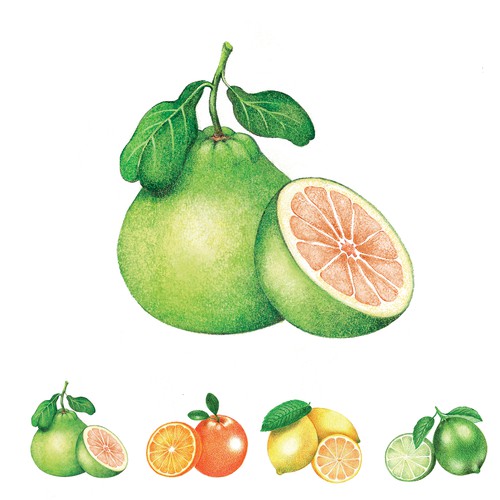 Computerise hand painting 