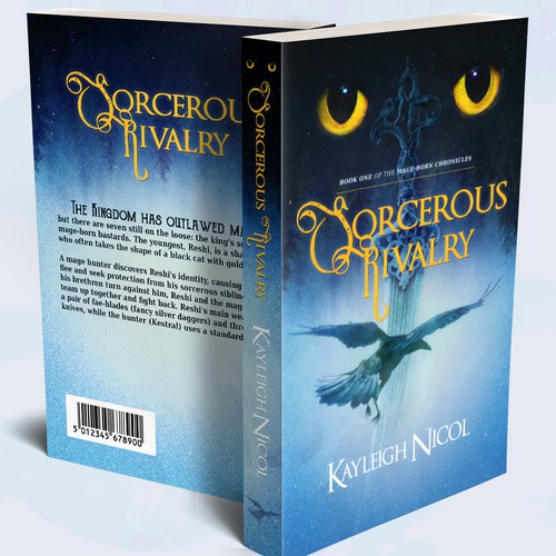 "Sorcerous Rivalry" book cover