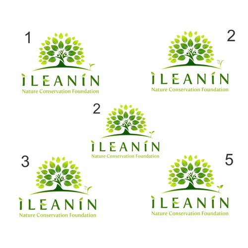 iLeanin Nature Conservation Foundation needs a powerful logo