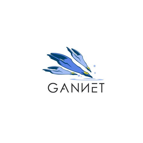 Logo concept for Gannet 