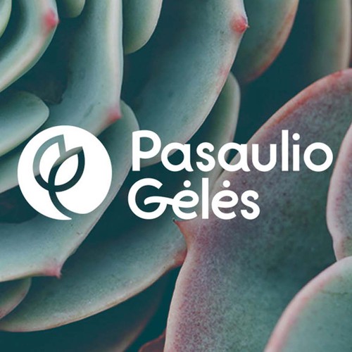 Pasaulio geles