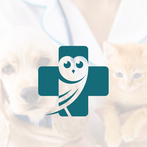 Owl Medical Logo