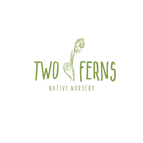 two ferns 