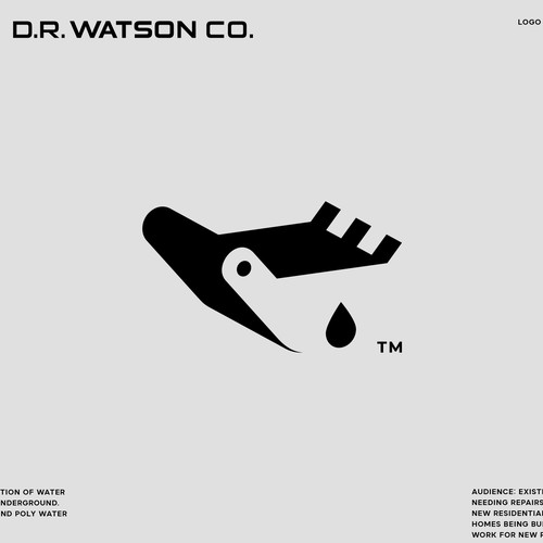 D.R. Watson Co.