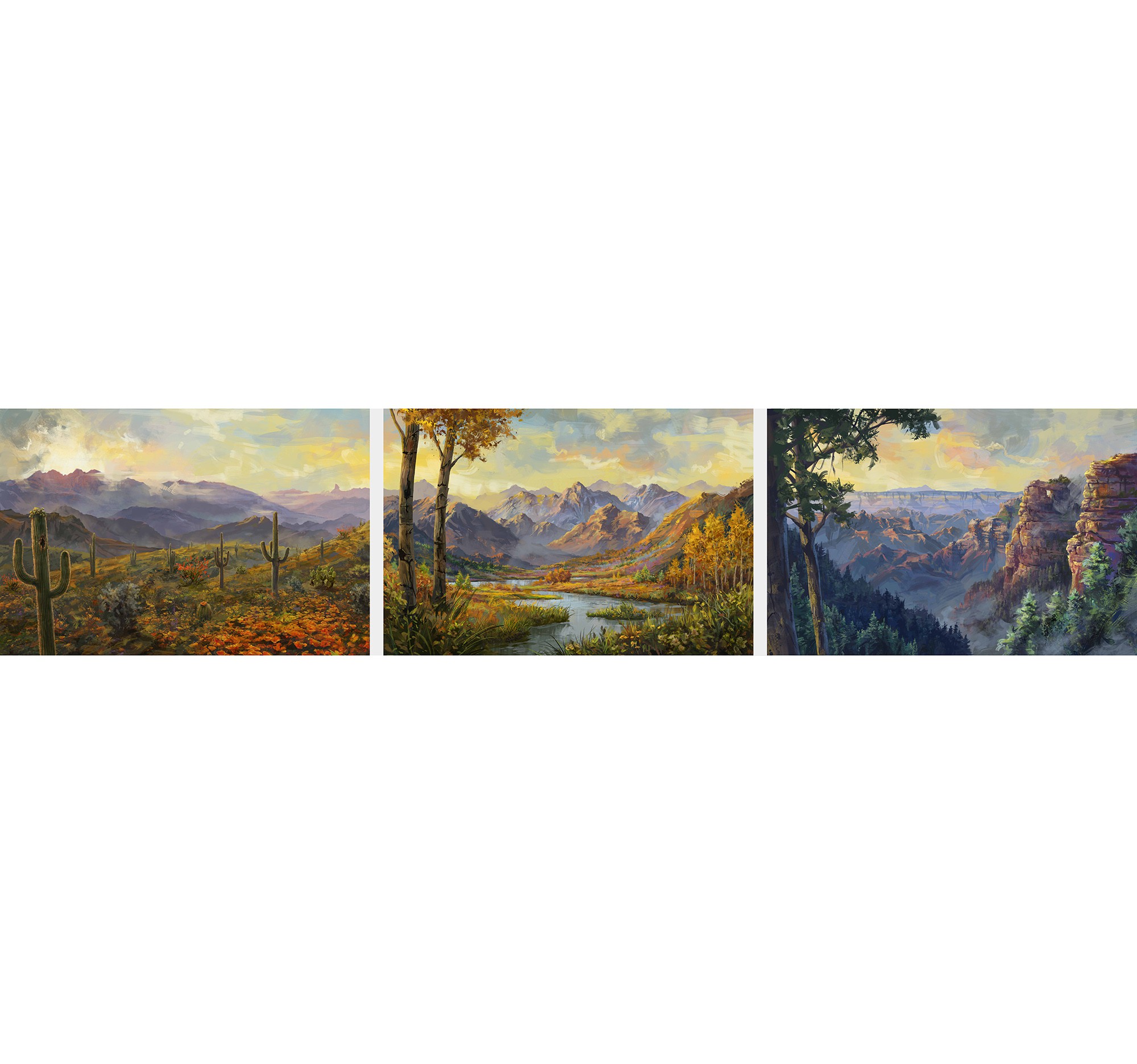 Arizona Landscapes