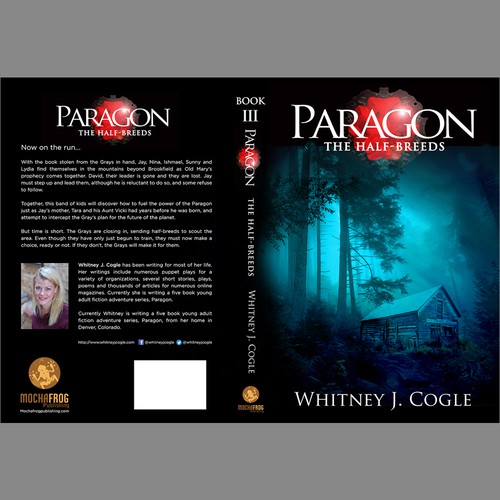 Young Adult Mystery Thriller