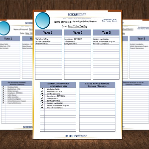 Report Sheet Format