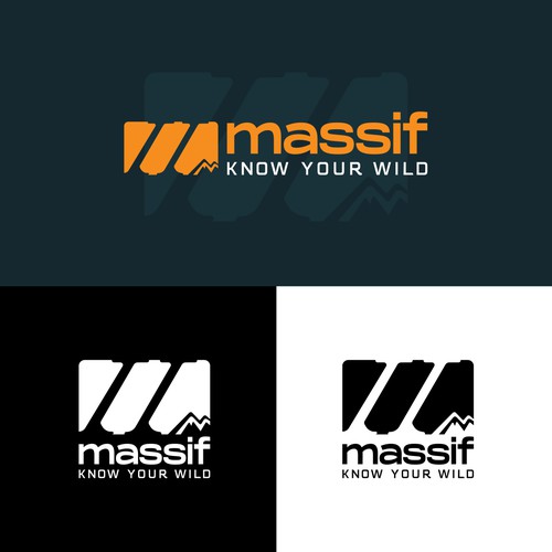 Brand Identity - Massif.co