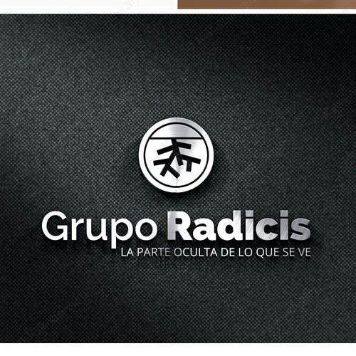 logo for holding corporation