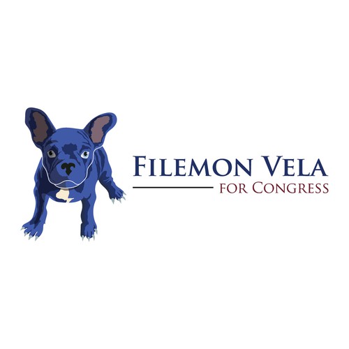 Filemon Vela for congress