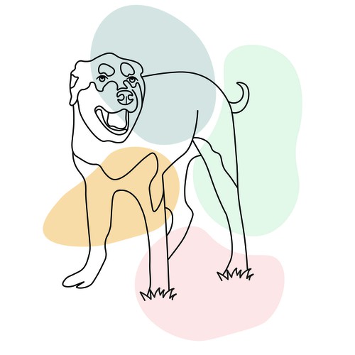 Dog line illustration