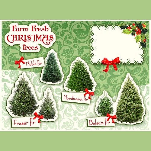 Farm Christmas trees banner