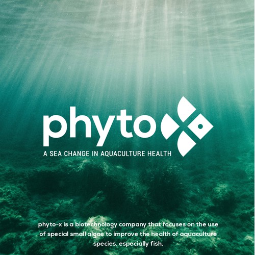 Phyto-x Logo Design
